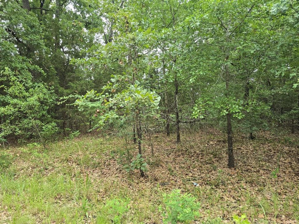 Cherokee Shores Sec C - Land
