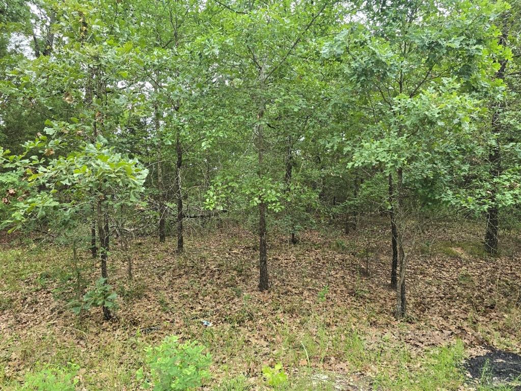 Cherokee Shores Sec C - Land