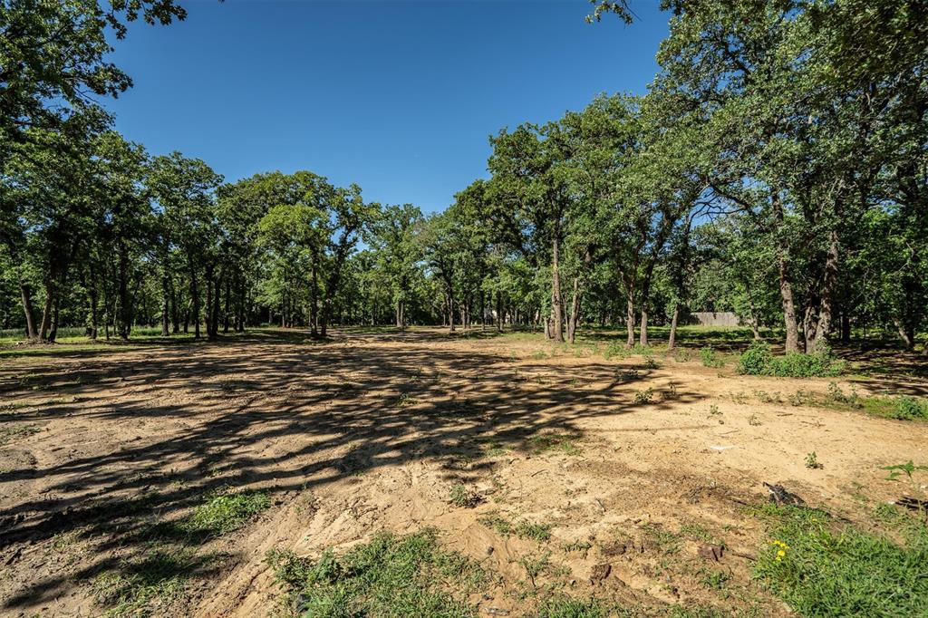 309 Mosswood Drive