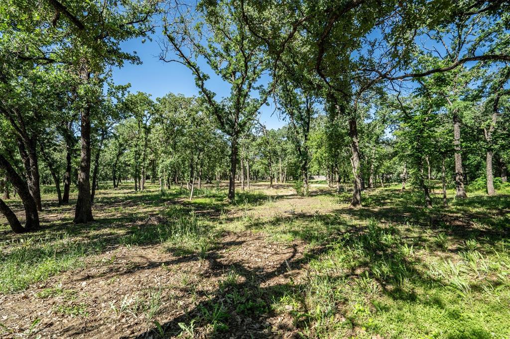 309 Mosswood Drive