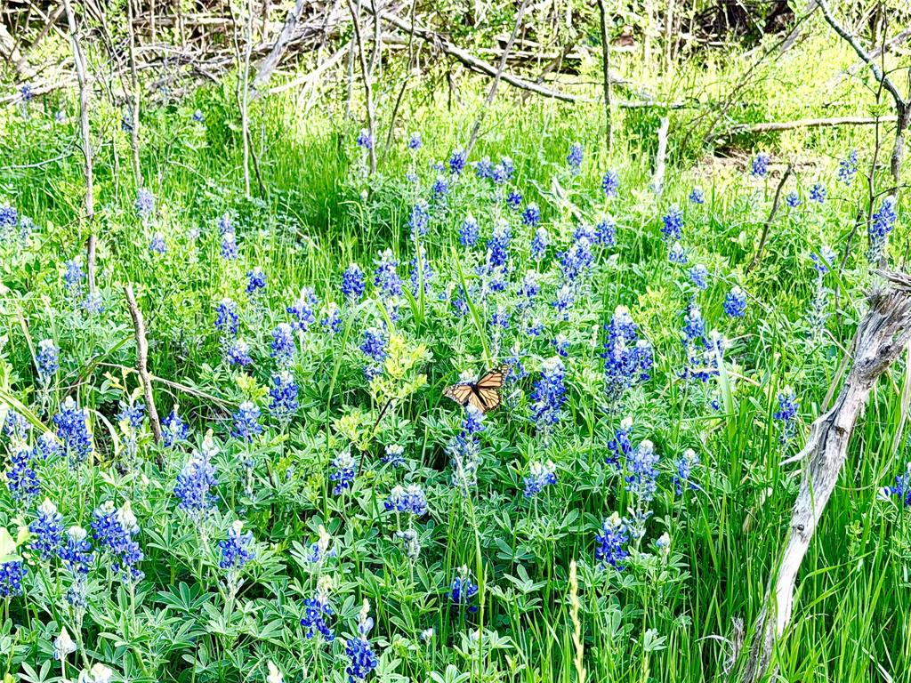 TBD County Road 3204