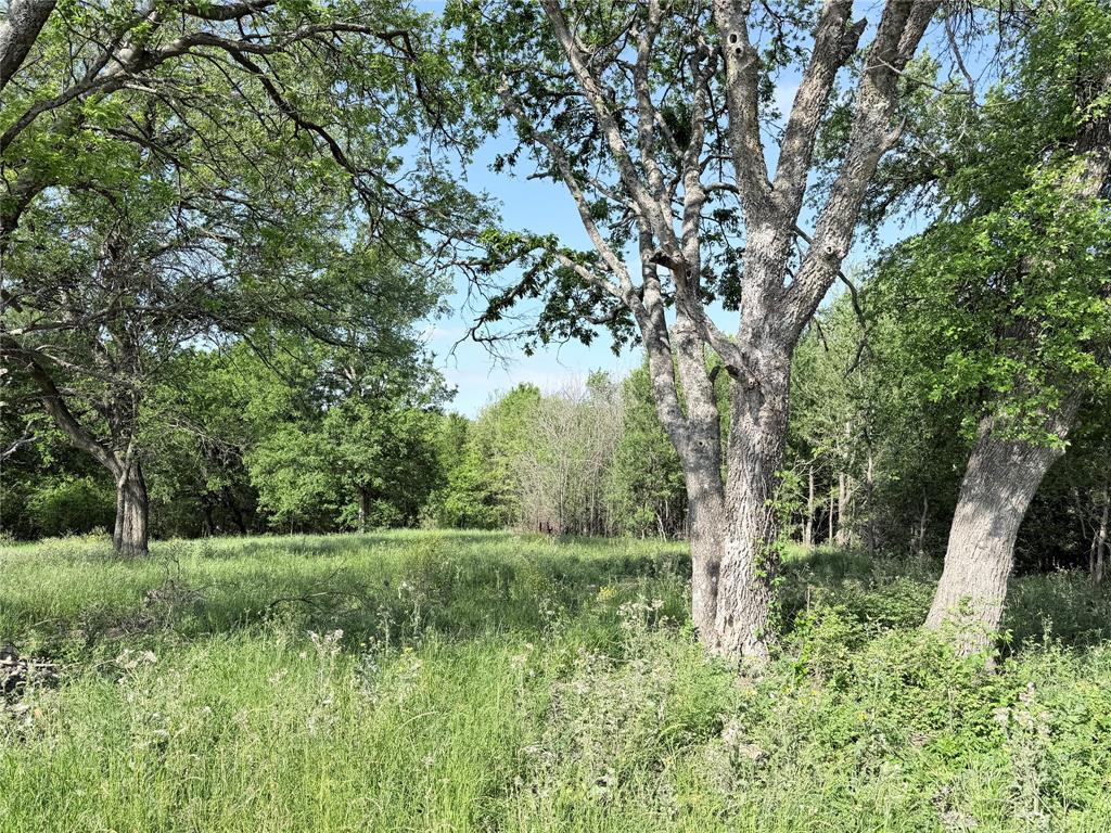 TBD County Road 3204