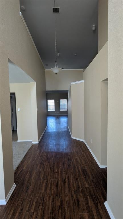 1029 Magnolia Lane