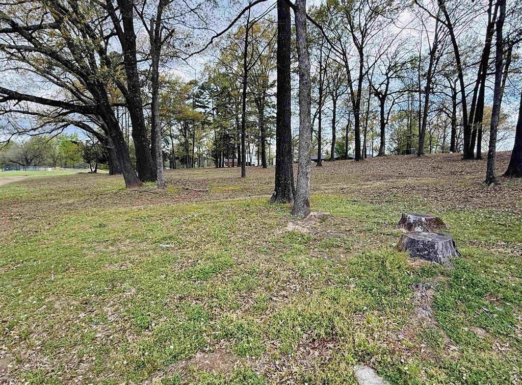 AMBER ACRES - Residential