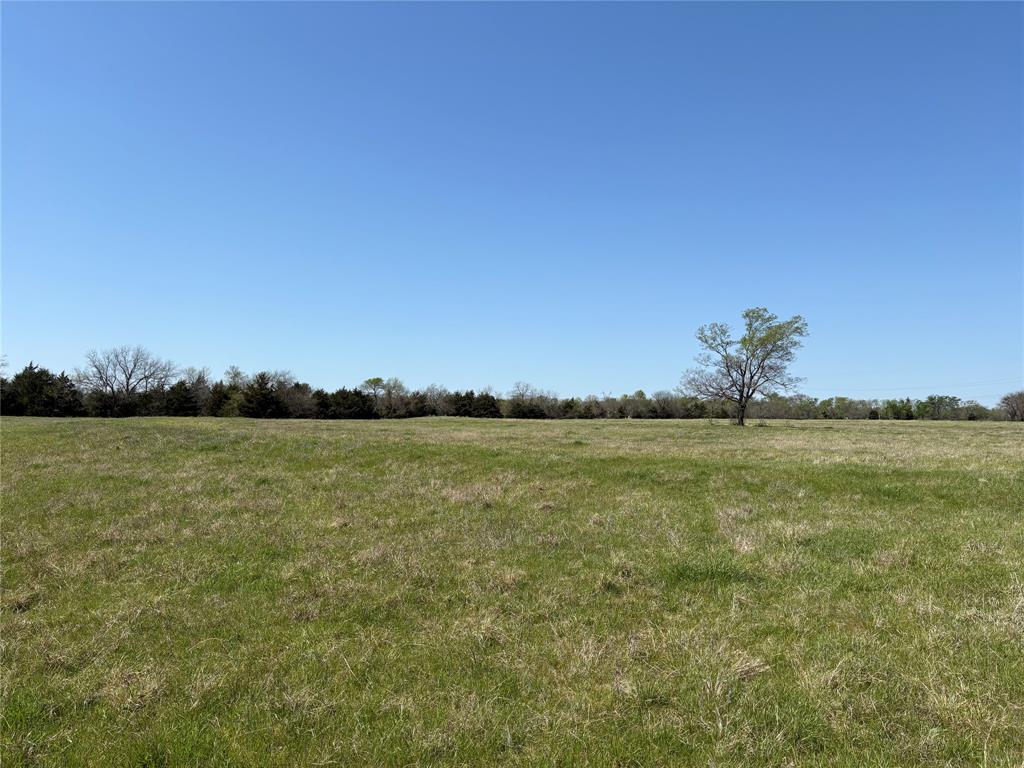 W Moore Surv Abs 612 - Land