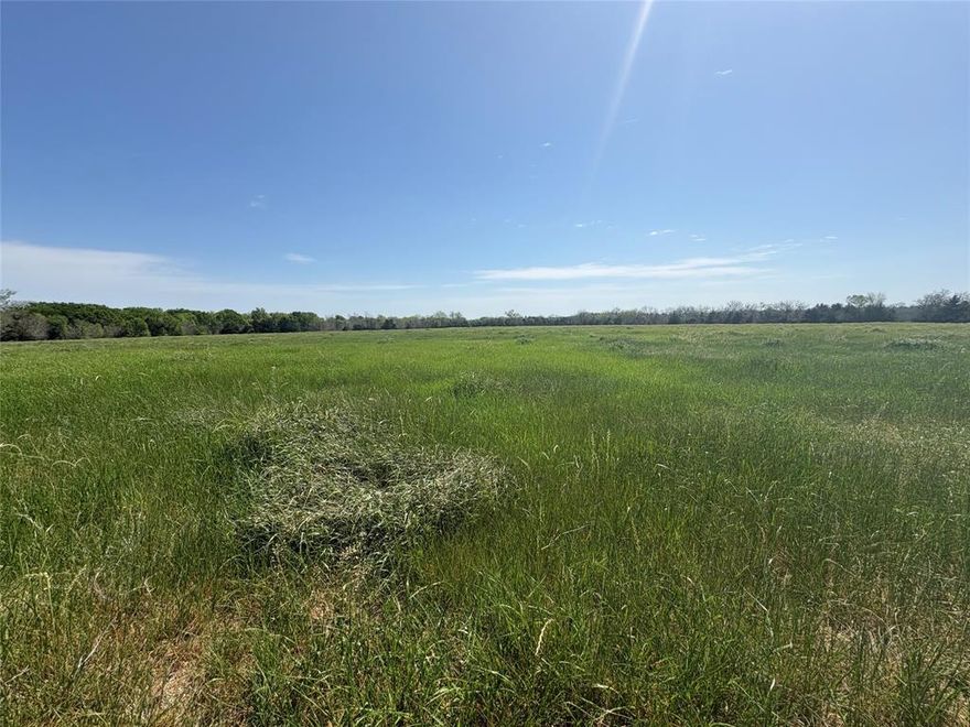 Discover the perfect blend of space, privacy, and opportunity with this 14-acre tract located in desirable Hopkins County. Situated along a paved county road, this property offers over 1,000 feet of road frontage and features a mix of cleared pasture and scattered mature trees, creating an ideal setting for a homesite, recreational use, or agricultural operation.
The land is fenced with partial barbed wire fencing and includes a pond, making it well-suited for cattle, horses, or livestock. A water meter is already on site, and overhead electricity is available at the road, adding convenience and reducing upfront development costs. With no known restrictions and no zoning, the possibilities are wide open—whether you're looking to build a custom home, barndominium, place a manufactured home, or invest in future development.
Located within Sulphur Springs ISD and just a short drive to town, this property offers the peace of the countryside without sacrificing accessibility.
Additional acreage available—contact the listing agent for more information.
Buyer and buyer’s agent to verify all information.