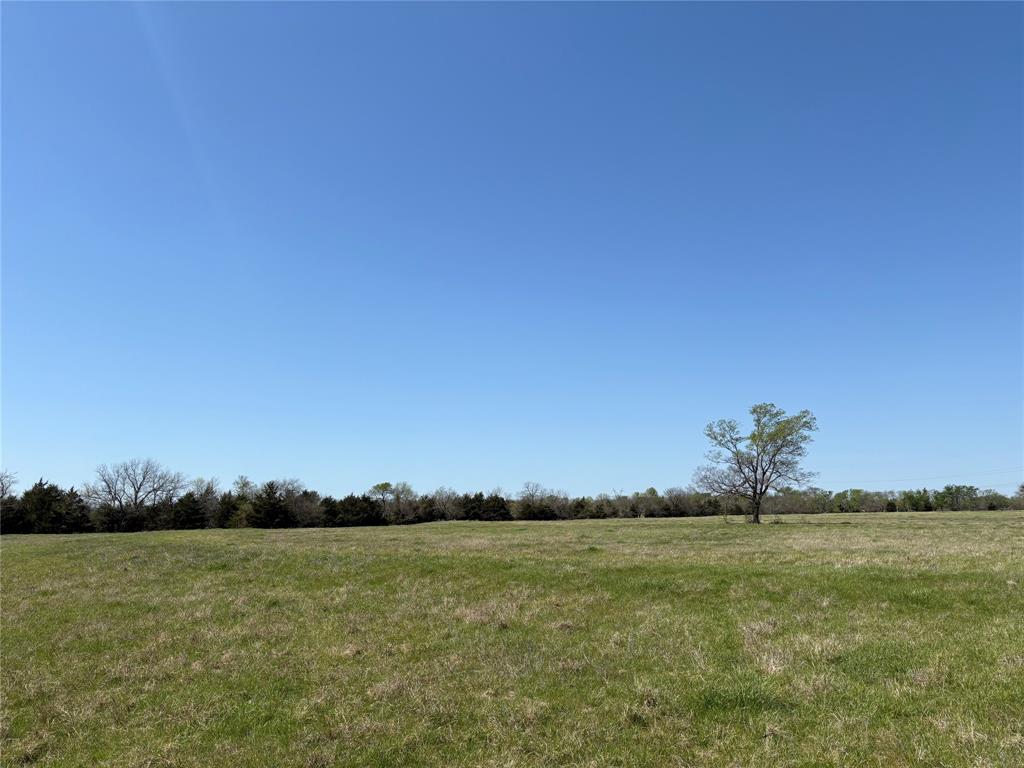 W Moore Surv Abs 612 - Land