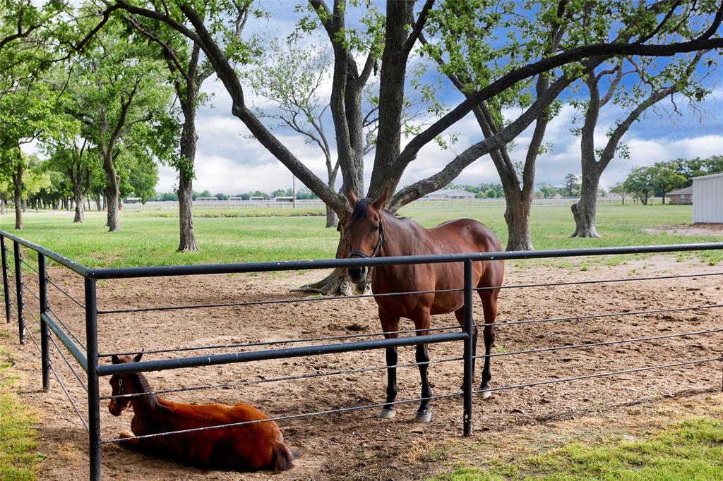 F Trevino - Residential