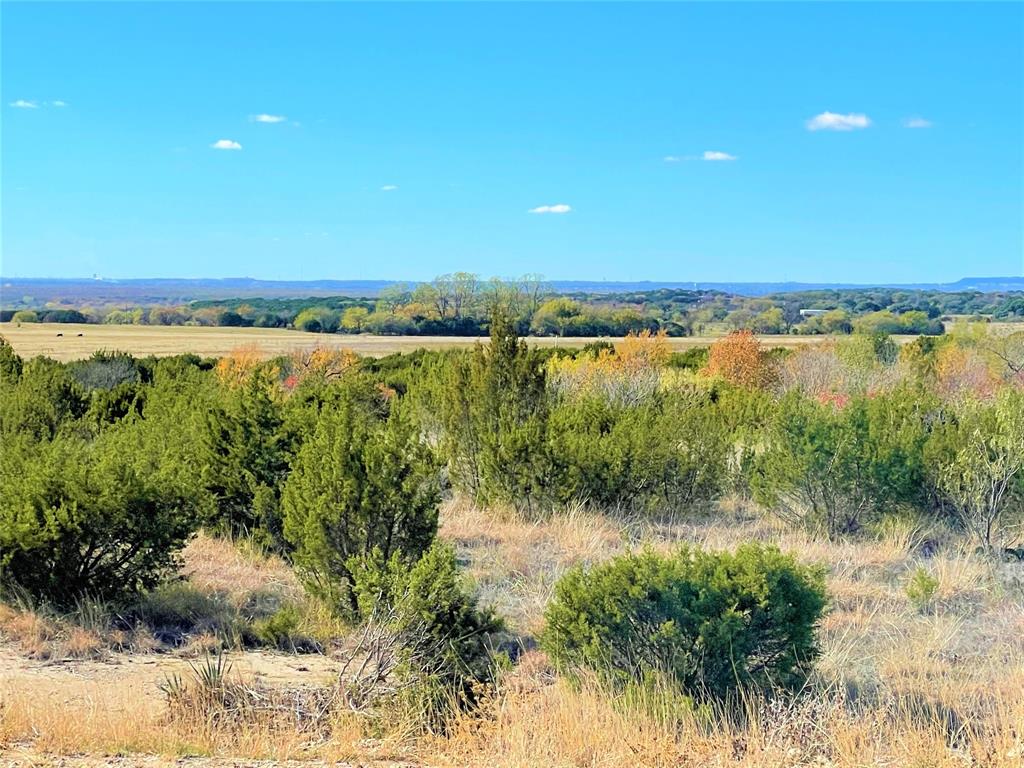 12621 Sue Lane