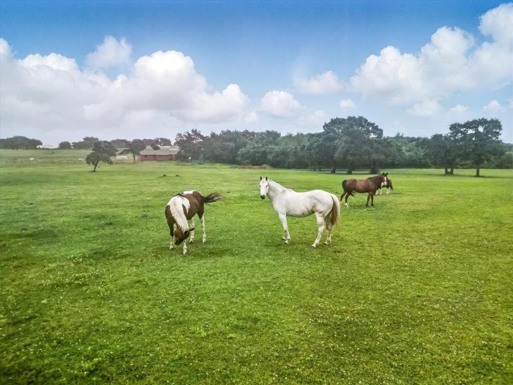 J Clark - Commercial Sale