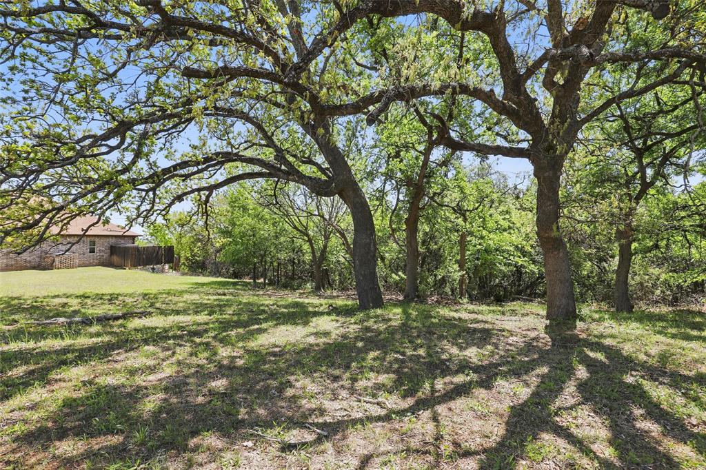 Pecan Plantation - Land