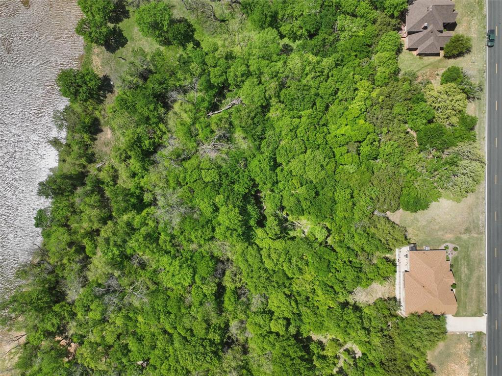 Pecan Plantation - Land