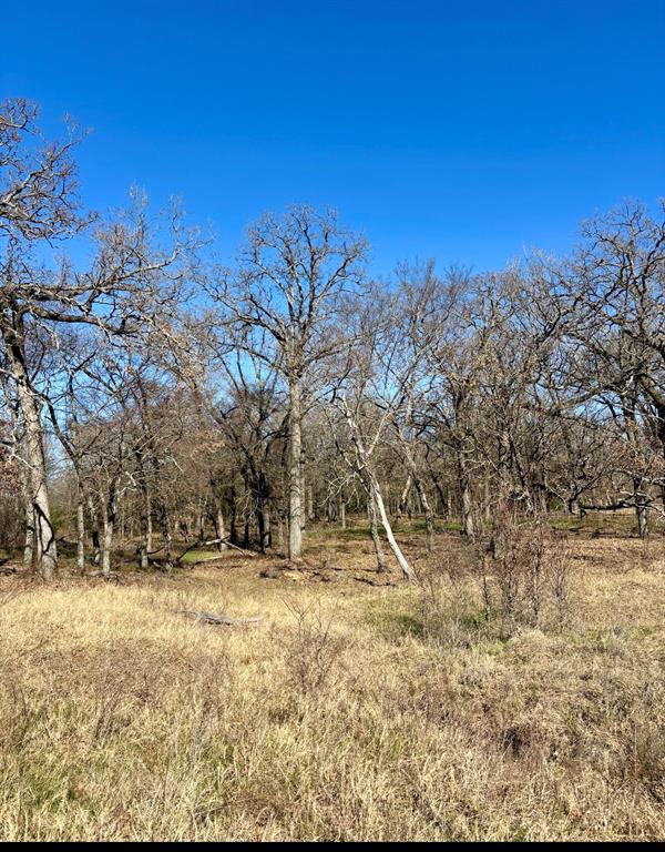 Post Oak Meadows - Land