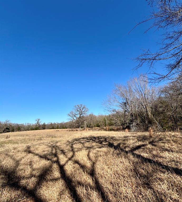 Post Oak Meadows - Land