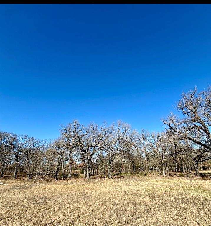 Post Oak Meadows - Land