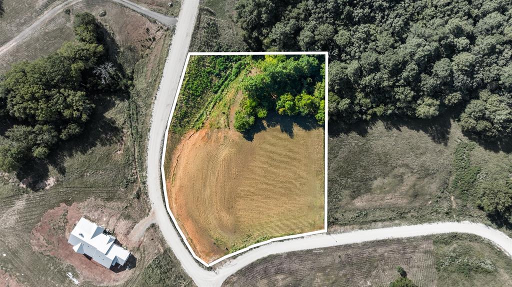 Veritatis Splendor - Land