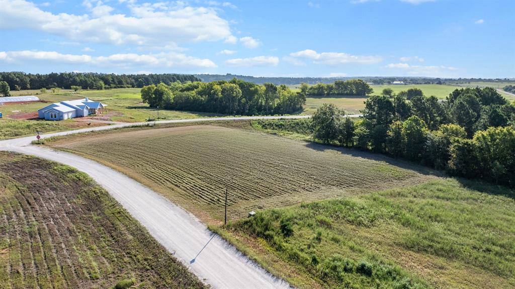 Veritatis Splendor - Land