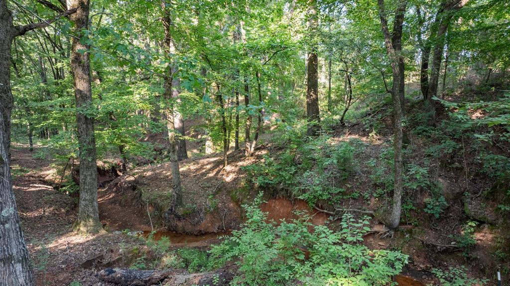 Veritatis Splendor - Land