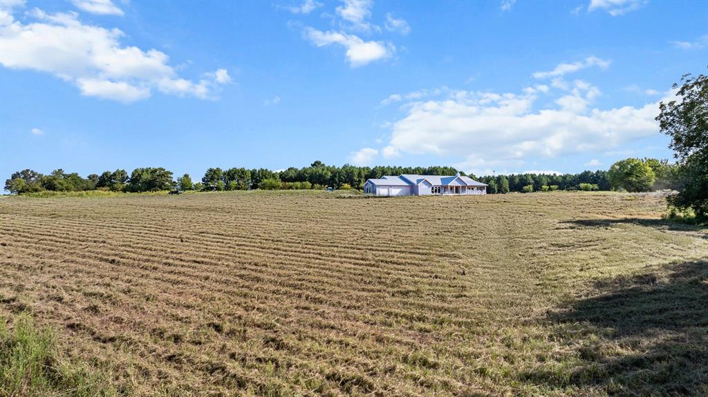 Veritatis Splendor - Land