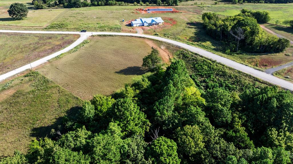 Veritatis Splendor - Land