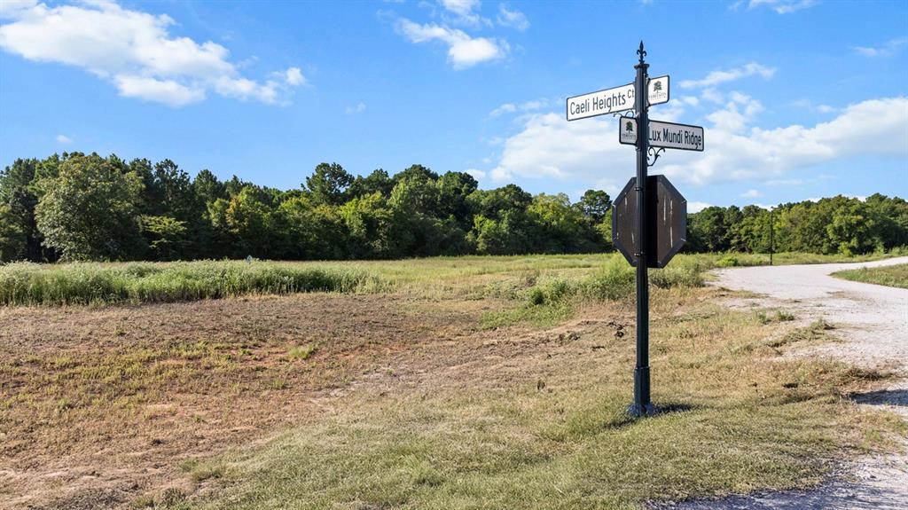 Veritatis Splendor - Land