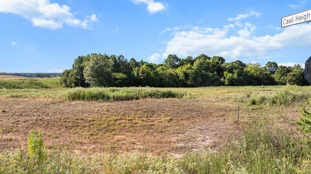 Veritatis Splendor - Land