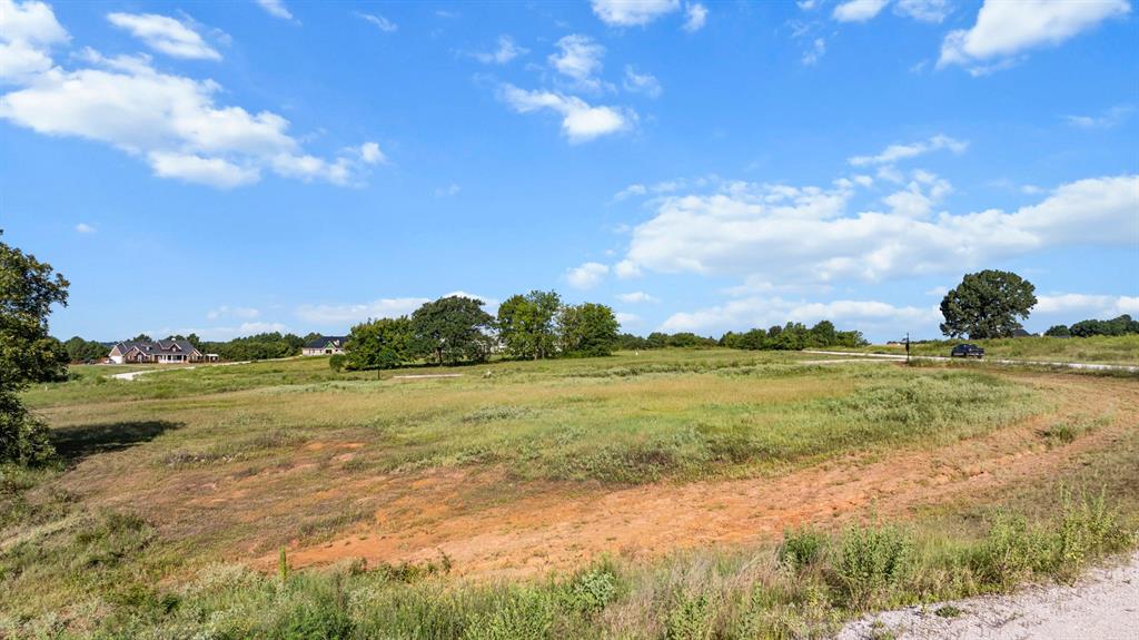 Veritatis Splendor - Land