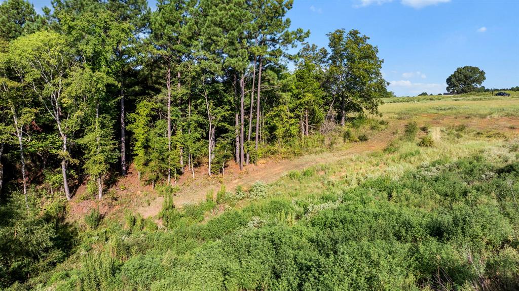 Veritatis Splendor - Land