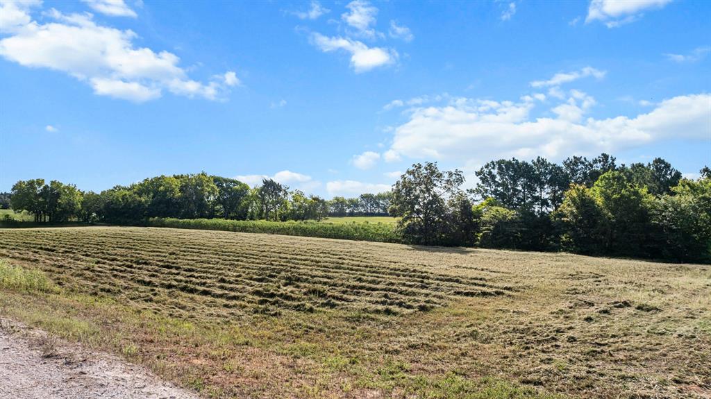 Veritatis Splendor - Land