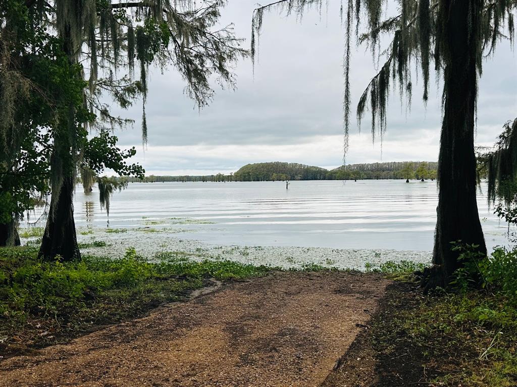Caddo Lakes Estate - Residential