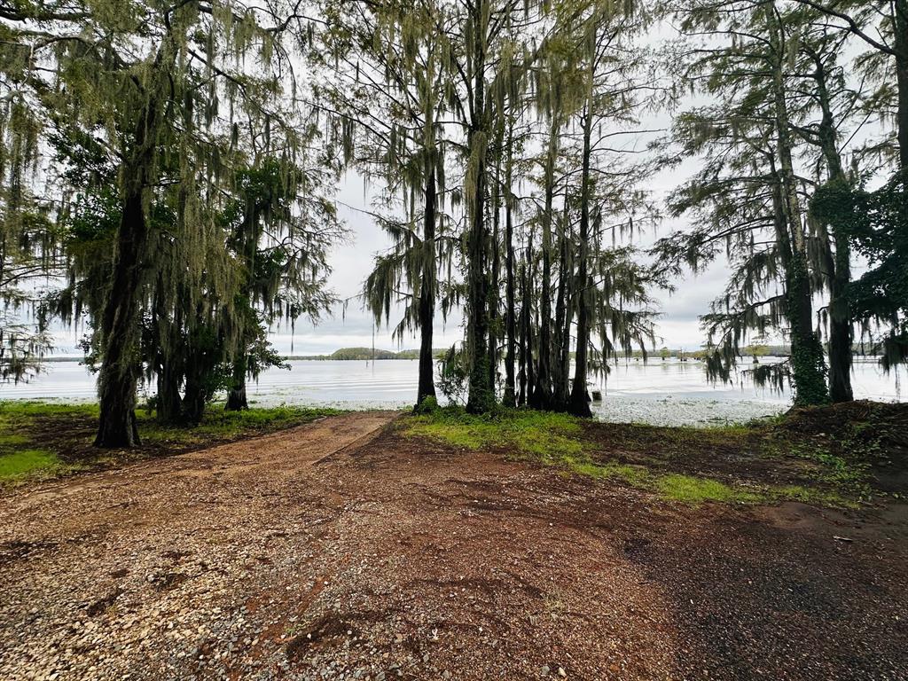 Caddo Lakes Estate - Residential