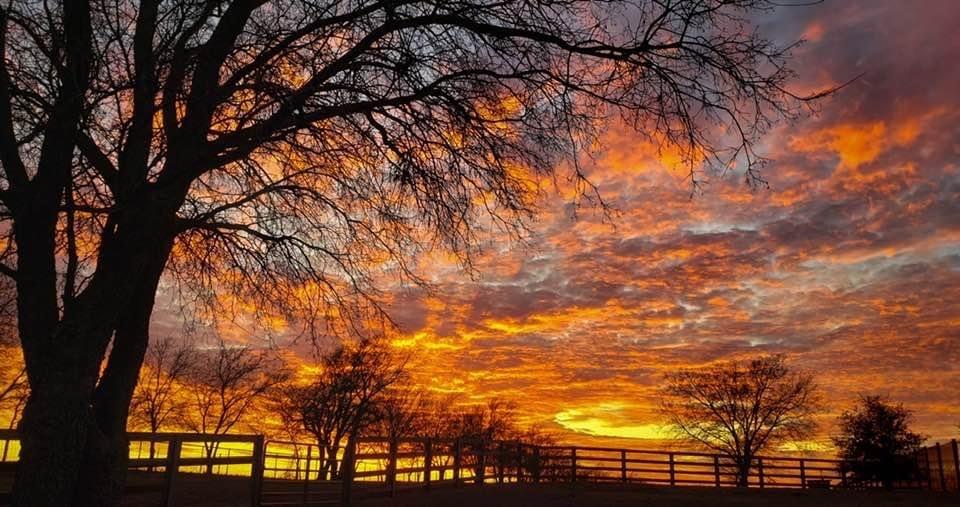 Hunnington Ridge Ph 1 - Residential