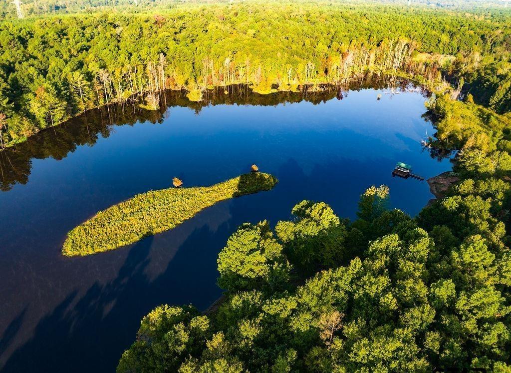 Island Lake Ranch - Land