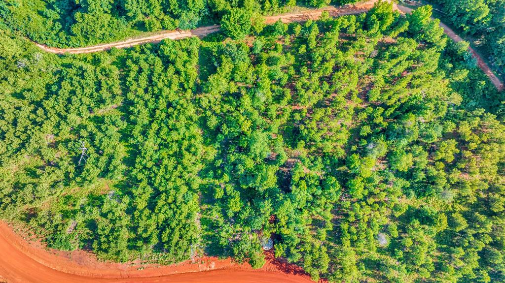 Island Lake Ranch - Land