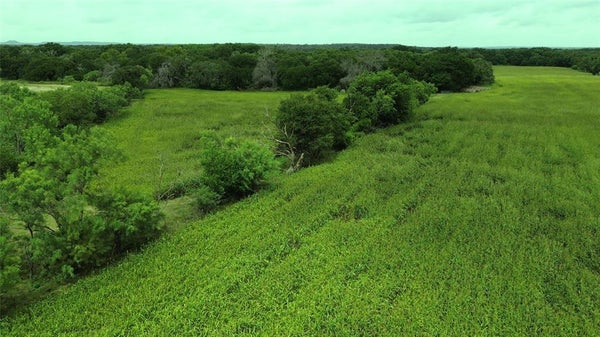 248 AVE A, GUSTINE, TX 76455 - Image fe4c890ba0d9f87c6e0eeeac2e15219e/2938729244