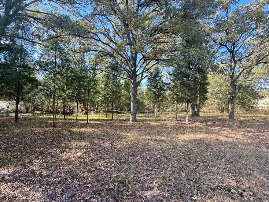 COME BUILD! Discover the perfect place to plant your roots with this oversized .7 acre Corner lot, Waterfront at end of cove, fenced on 3 sides, open to the cove. This lot is cleared and level with many Mature Shade trees with endless potential. Walking distance to POA Boat Ramp, Easy access to Utilities and Paved Roads. Convenient access to local dining such as the Dock across the street. Malakoff ISD. Low HOA Fees.
