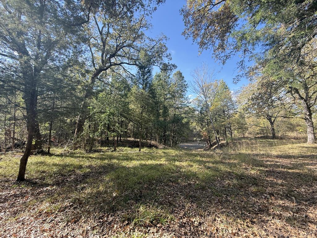 Clearwater Bay - Land