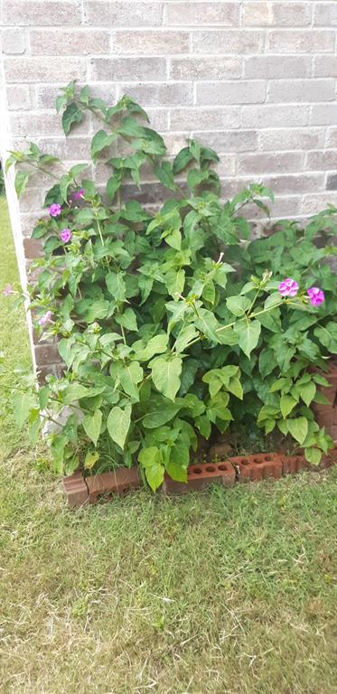 Bellaire North Add - Residential