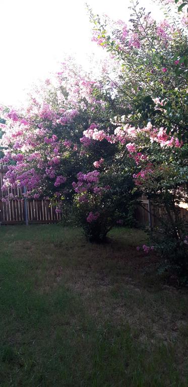 Bellaire North Add - Residential