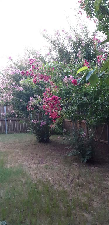 Bellaire North Add - Residential