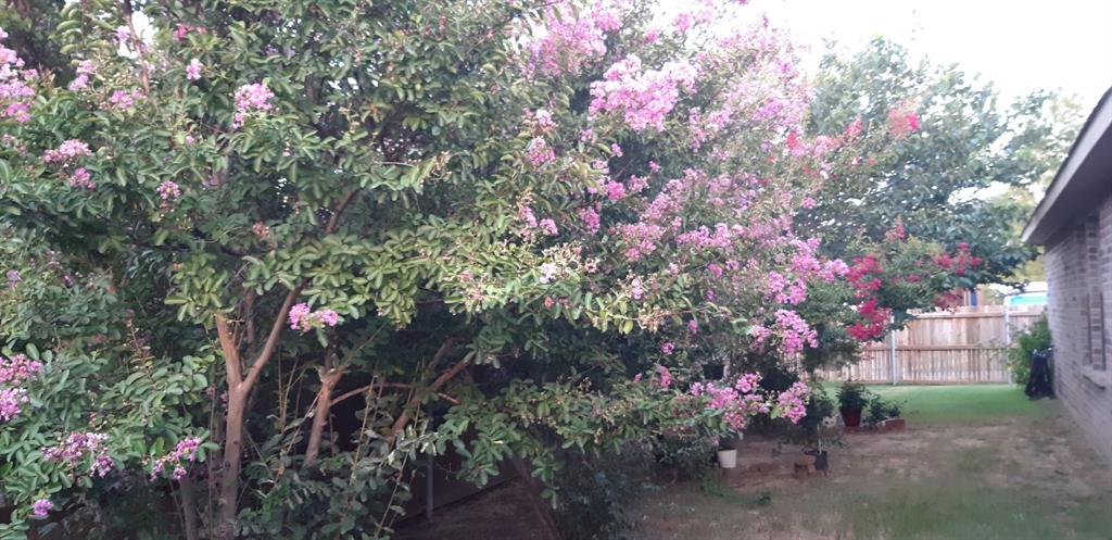 Bellaire North Add - Residential