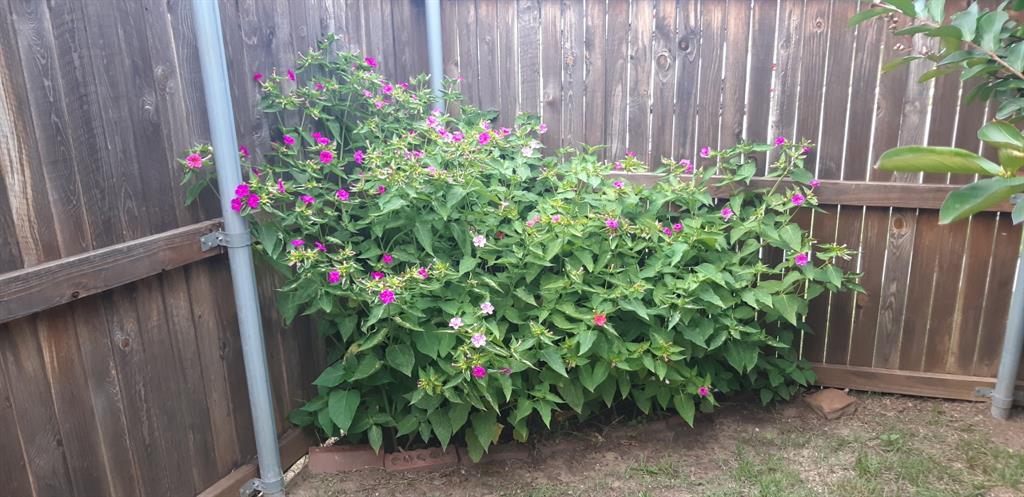 Bellaire North Add - Residential