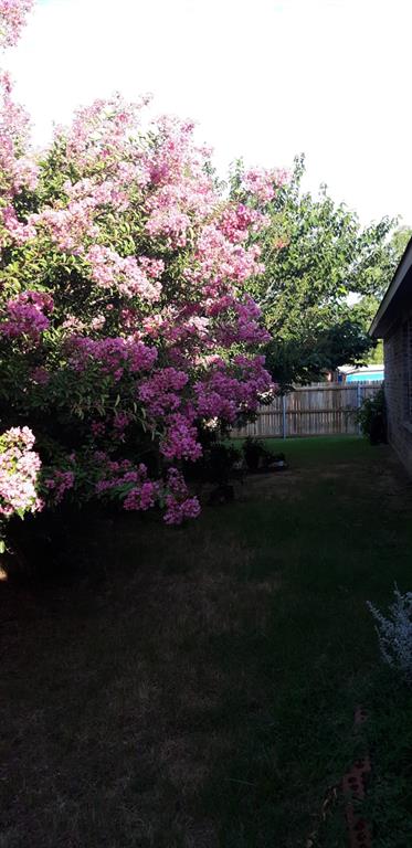 Bellaire North Add - Residential