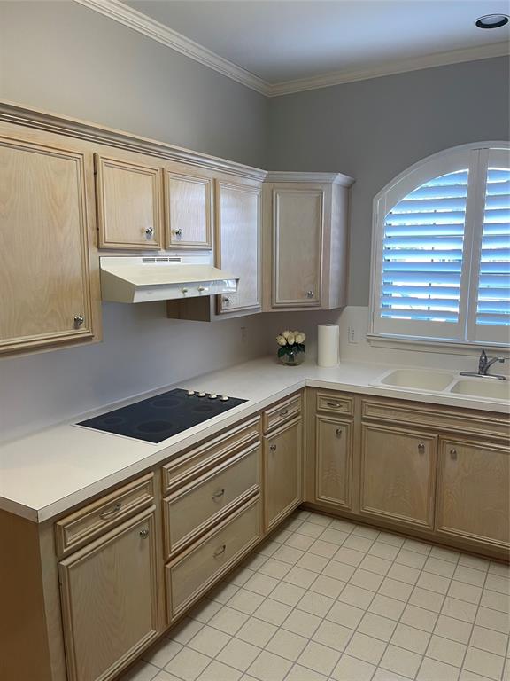 Millicent Place Sub - Residential