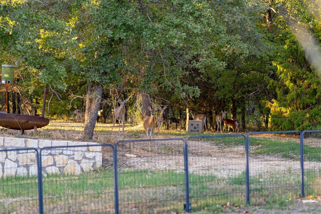 T&P RR CO SUR - Residential