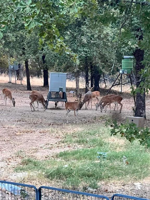 T&P RR CO SUR - Residential