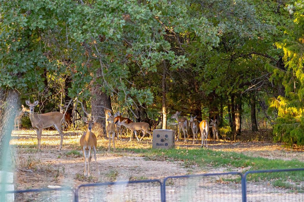 T&P RR CO SUR - Residential