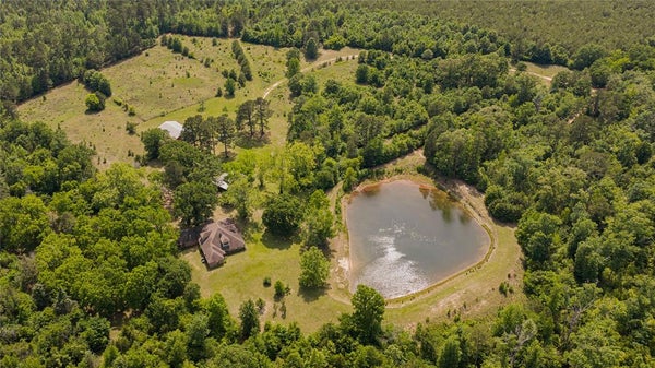 1655 COUNTY RD 1627, AVINGER, TX 75630 - Image feac5e57f79affe403edef73691655cd/3414060199