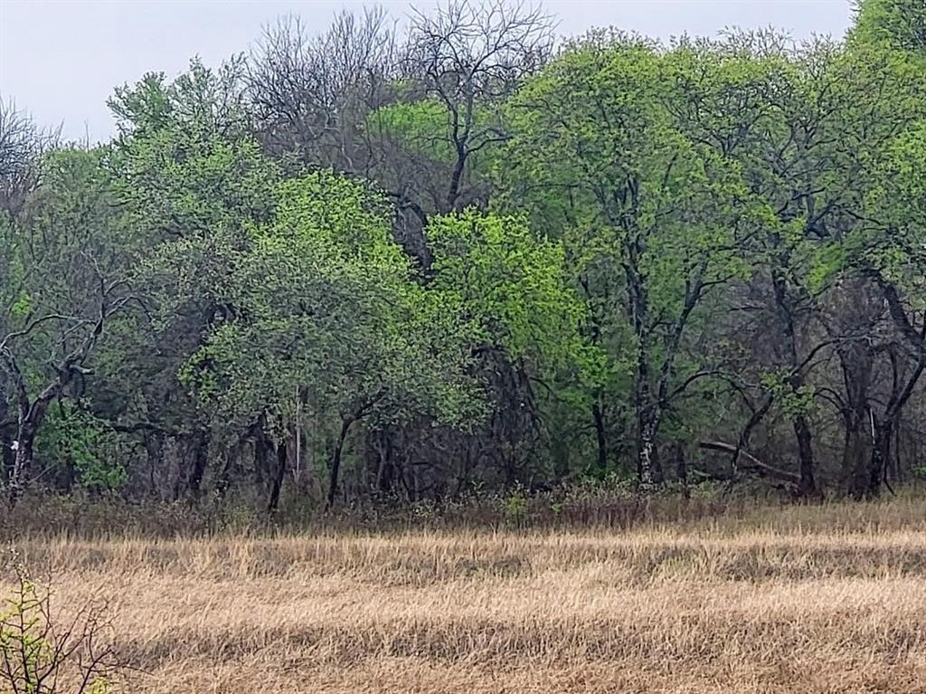 Hill Crk Ranch Ph 1 - Land