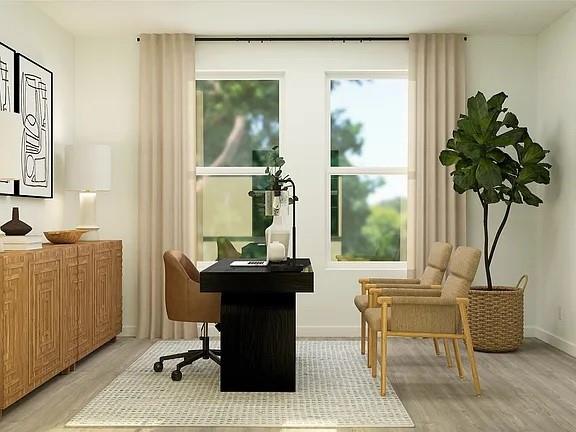 Shaded Tree Ph 2 - Residential Lease